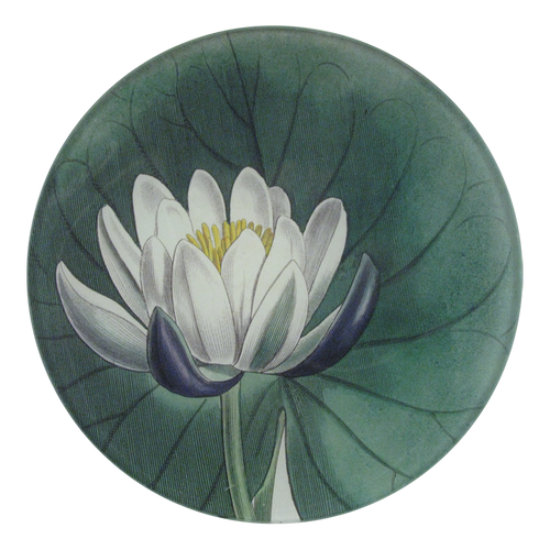 john derian Water Lily 5 1/4" Round Plate