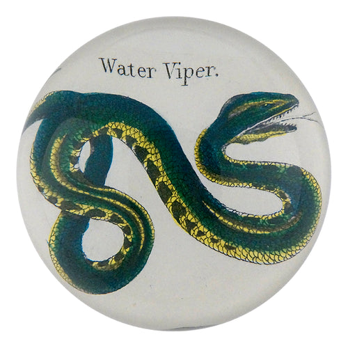 john derian Water Viper Dome Paperweight