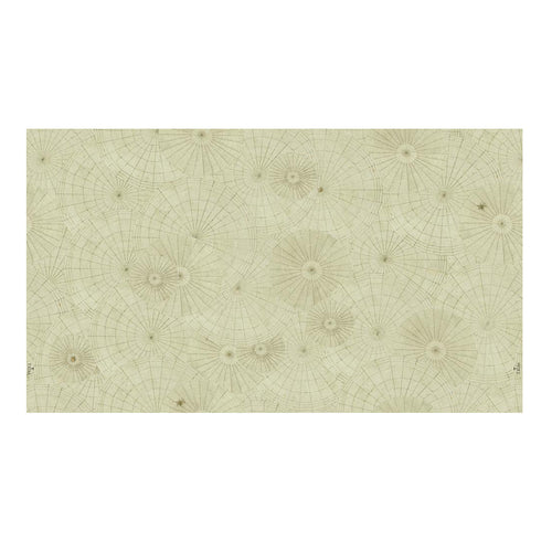 john derian Webs - Original Wallpaper