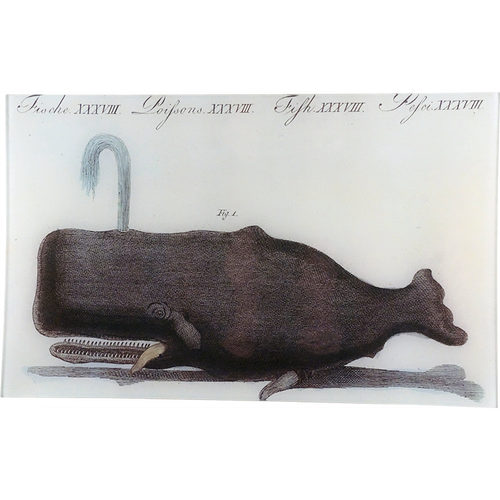 john derian Whale Fig. 1 10 x 16" Rect. Tray