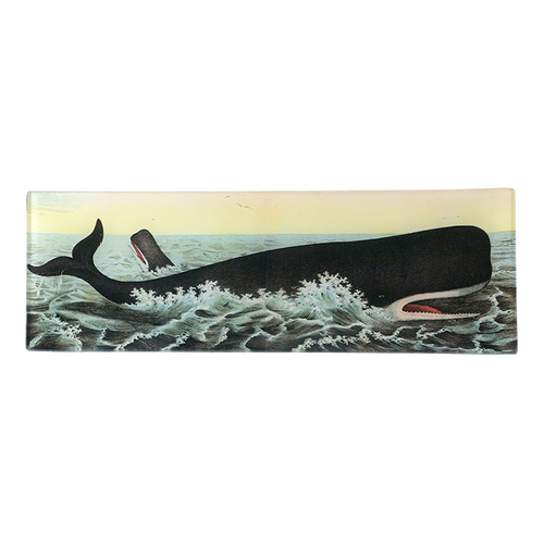 john derian Whale in Waves 4.5 x 12" Rect. Tray