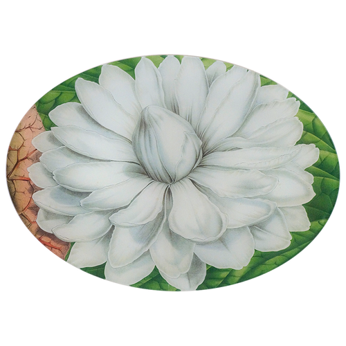 john derian White Lily 10 x 14" Oval