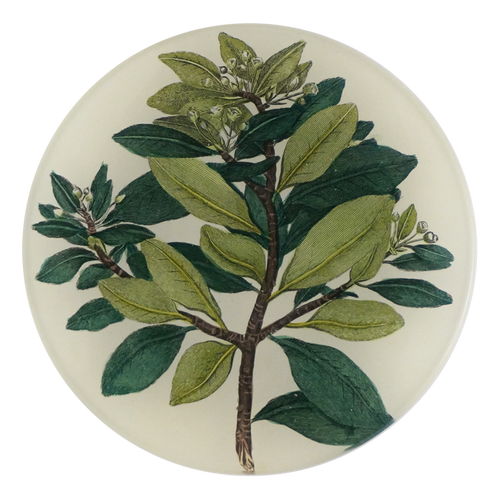 john derian Winter Cinnamon 5 1/4" Round Plate