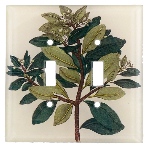 john derian Winter Cinnamon Double Switch Cover