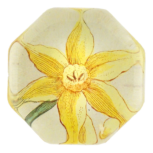 john derian Yellow Narcissus Octagonal Charm