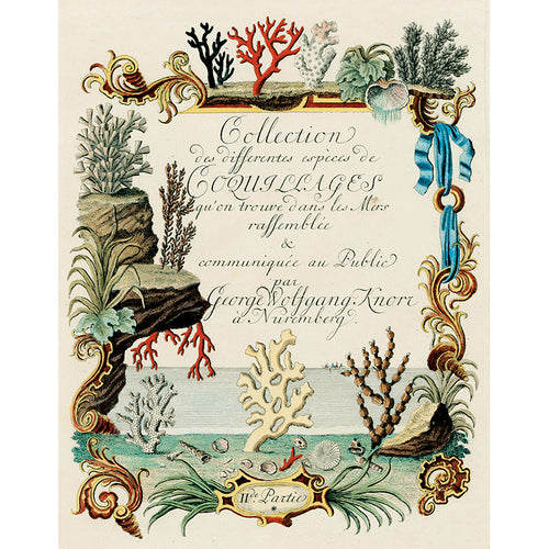 john derian Knorr’s Title Page (p 181) 11" x 14" Rect. Tray
