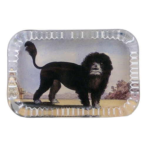 john derian Le Chien Lion Dotted Edge Large Paperweight