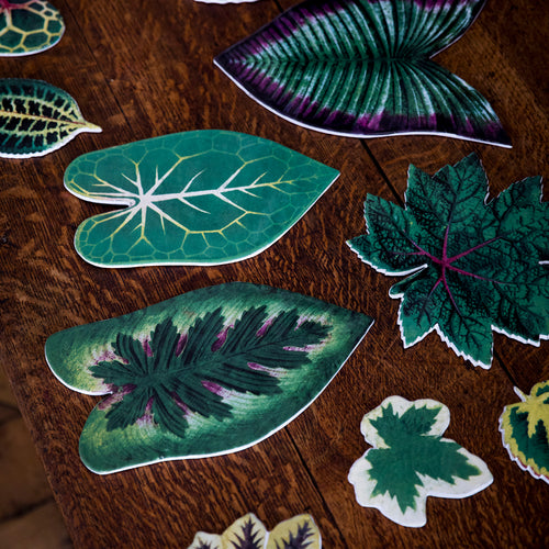 John Derian Leaf Platter 49 Add To Cart Plat Feuille Details 9" L X 12" W Glazed Terracotta Made In Paris Care Dishwasher Safe On A Moderate Wash Cycle. Not Microwave Safe. John Derian Teamezd Up With Astier De Villatte To Add H