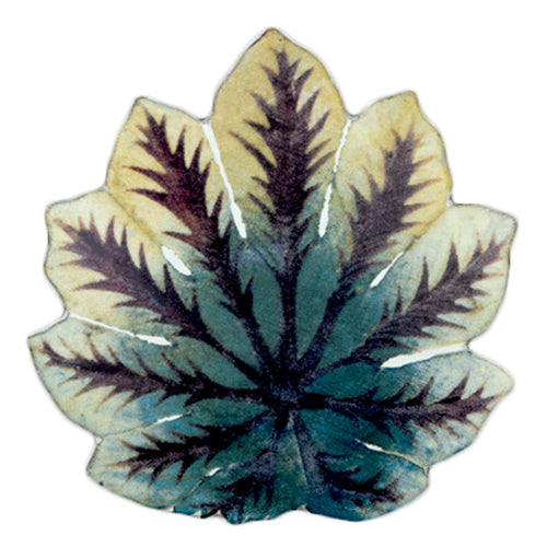 john derian Leaf Platter 52 Add to cart Plat Feuille Details 6.7" L x 6.7" W Glazed terracotta Made in Paris Care Dishwasher safe on a moderate wash cycle. Not microwave safe. John Derian teamezd up with Astier de Villatte to ad