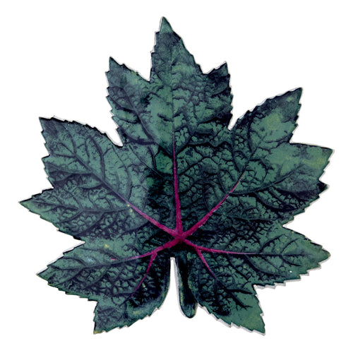 john derian Leaf Platter 54 Add to cart Plat Feuille Details 9.5" L x 9.5" W Glazed terracotta Made in Paris Care Dishwasher safe on a moderate wash cycle. Not microwave safe. John Derian teamezd up with Astier de Villatte to ad