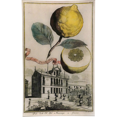 john derian Lim Pusilla Pila 18c. Lemon 10 x 16" Rect. Tray