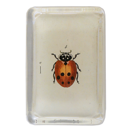 john derian Little Ladybug XL Rectangular Paperweight