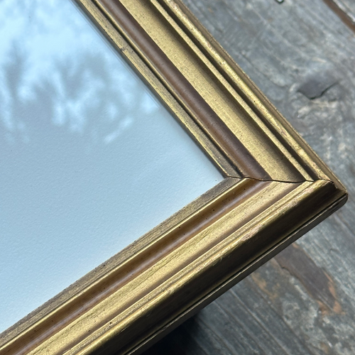 John Derian "Mackerel" In A Vintage Frame Ready To Ship Linocut