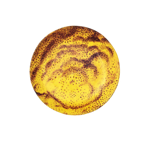 john derian Malus Poma (Lemon) Saucer Add to cart Coupelle Malus Poma (Citron) Details 5.1" Diameter x .5" Deep Glazed terracotta Made in Paris Care Dishwasher safe on a moderate wash cycle. Not microwave safe. John Derian teame