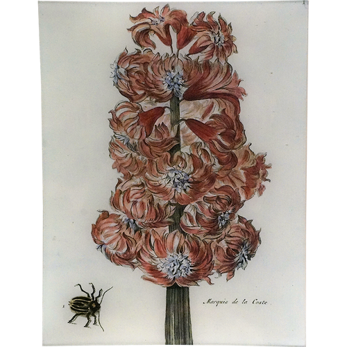 john derian Marquis de la Coste I 10" x 13" Rect. Tray