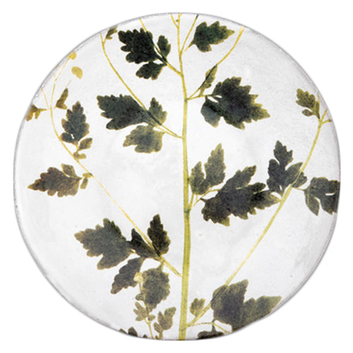 john derian Matricaria Plate Add to cart Assiette Matricaria Details 9.4" Diameter x .8 Deep Glazed terracotta Made in Paris Care Dishwasher safe on a moderate wash cycle. Not microwave safe. Image Origin Pressed leaves Holland