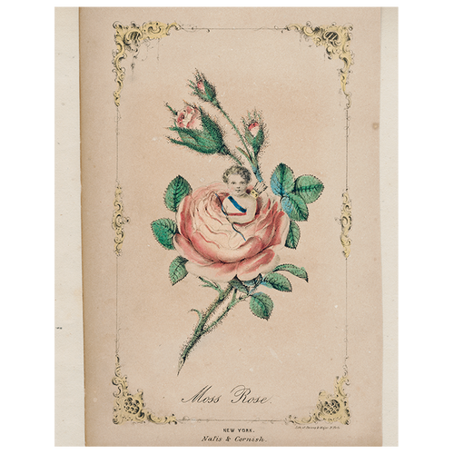 john derian Moss Rose Cupid (p 333) 11" x 14" Rect. Tray