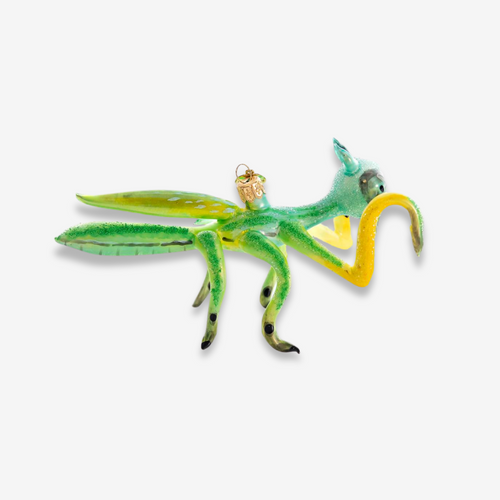 john derian Multicolor Praying Mantis Ornament Add to cart All Holiday ornaments and items are final sale and are not eligible for return or exchange.  A charming addition to your holiday tree this praying mantis ornament is me