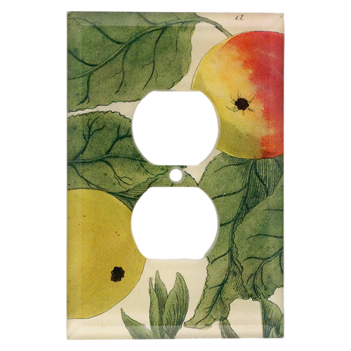 john derian N. 707 Colorful Apples Outlet Plate Cover