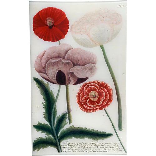 john derian N. 791 Wild Rose Poppy 10" x 16" Rect. Tray