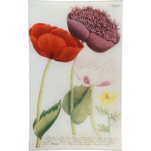 john derian N. 796 Deep Purple Poppy 10" x 16" Rect. Tray