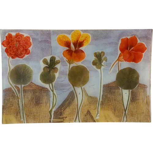 john derian Nasturtium in Village (Collage) 10 x 16" Rect. Tray