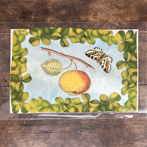 John Derian One Of A Kind Collaged Fruit Mat Pair (2-01 & 2-02) Add To Cart Handmade One-of-a-kind Laminated Collage By John Derian Details Set Of 2 18" X 12" One-of-a-kind Collaged With 18th & 19th-century Prints From John's Ar
