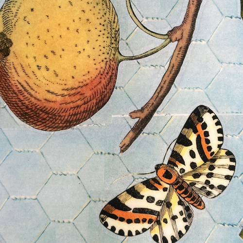 John Derian One Of A Kind Collaged Fruit Mat Pair (2-01 & 2-02) Add To Cart Handmade One-of-a-kind Laminated Collage By John Derian Details Set Of 2 18" X 12" One-of-a-kind Collaged With 18th & 19th-century Prints From John's Ar