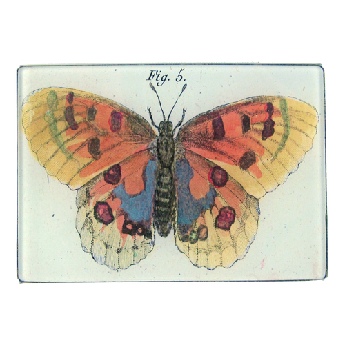 john derian Orange Butterfly 3.5 x 5" Tiny Rect. Tray