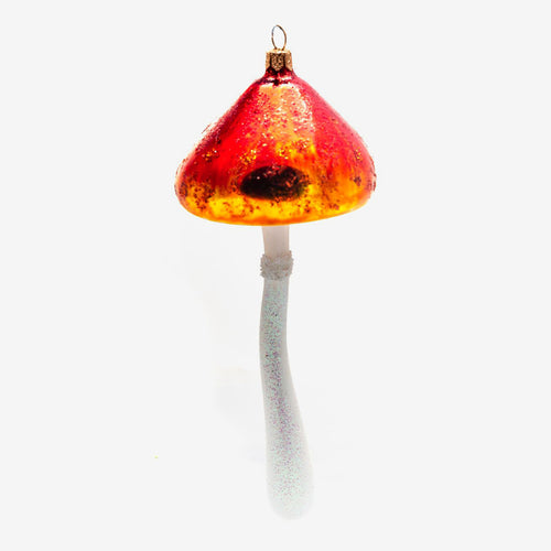 john derian Orange & Red Mushroom Ornament Add to cart All Holiday ornaments and items are final sale and are not eligible for return or exchange. Details 2.5" W x 6.5" H Glass Handblown in Poland Please note all ornaments an