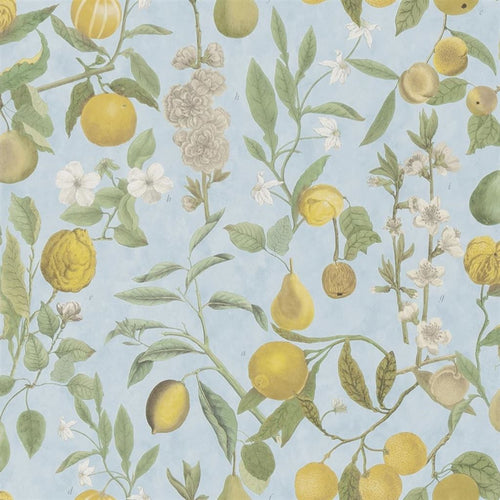 john derian Orchards Fruits Parchment Sky Blue Wallpaper