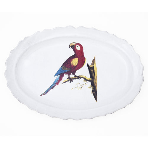 john derian Parrot Max Platter Add to cart Details 16.9" L x 11.4" W 1.2" Deep Glazed terracotta Made in Paris Care Dishwasher safe on a moderate wash cycle. Not microwave safe. Image Origin England 1737. John Derian teamed up w