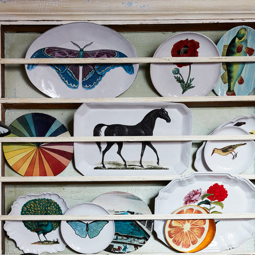 John Derian Peacock Plate Add To Cart Details 11" L X .5" Deep Glazed Terracotta Made In Paris Care Dishwasher Safe On A Moderate Wash Cycle. Not Microwave Safe. Image Origin Germany 18th Century. John Derian Teamed Up With Asti