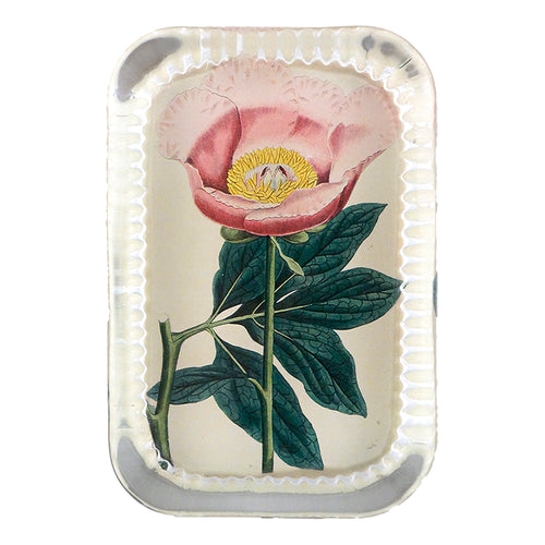 john derian Picadilly Dotted Edge Large Paperweight