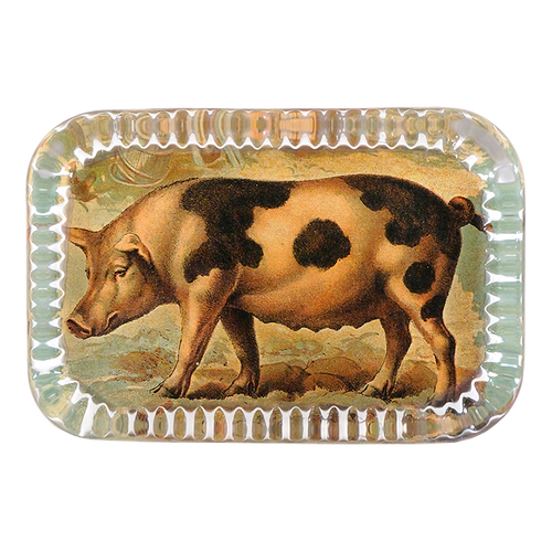 john derian Pig on Farm Dotted Edge Large Paperweight