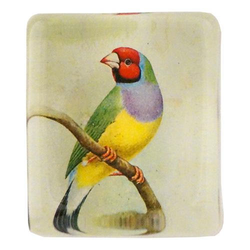 john derian Red-Headed Gouldian Finch Rectangular Charm