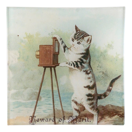john derian Reward of Merit (Cat) Un Vide Poche (6" Square)