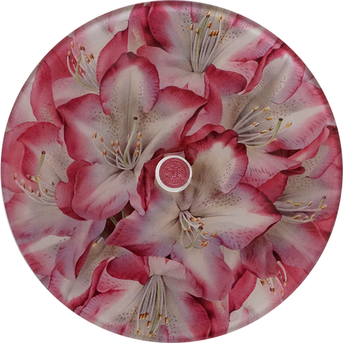 John Derian Rhododendron Princess Of Wales Stacking Cake Pedestal