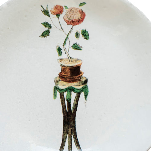 John Derian Rosebush Saucer Add To Cart Soucoupe Creuse Coleoptere5.5" Round.5" DeepJohn Derian Teamed Up With Astier De Villatte To Add His Iconic Imagery To Their Classic White Tableware. The 19th-century Inspired Patterns And