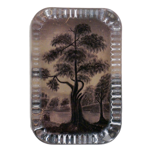 john derian Sandpaper Tree Dotted Edge Large Paperweight