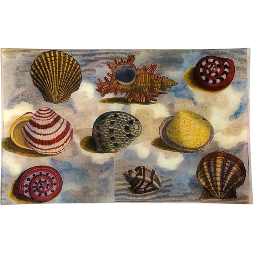 john derian Scallops on Sky (Collage) 10 x 16" Rect. Tray