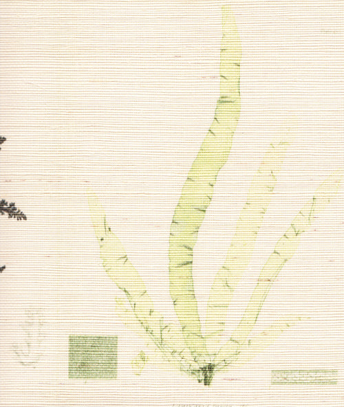 John Derian Sea Plants Original Grasscloth Wallpaper