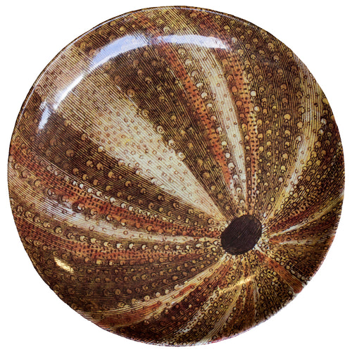john derian Sea Urchin Dinner Plate Add to cart Assiette Plate Oursin de Mer Details 10.25" Diameter x 1" Deep Glazed terracotta Made in Paris Care Dishwasher safe on a moderate wash cycle. Not microwave safe Origin Germany 1764