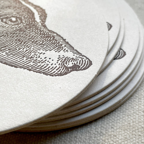 John Derian Set Of 8 Letterpress Dog Coasters Add To Cart Details Set Of 8 4" Diameter Heavyweight Paper Stock With Rubber Based Ink Made In Brooklyn New York Care Dry Flat For Multiple Uses