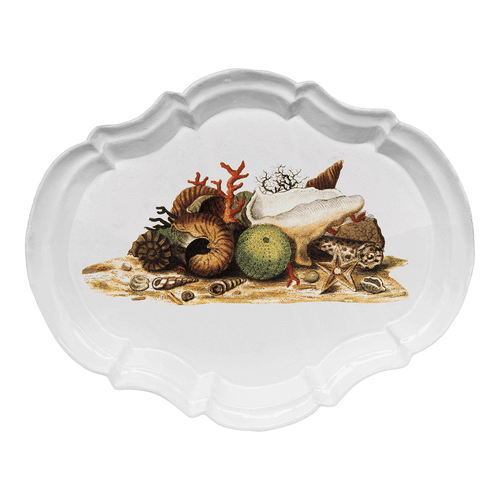 john derian Shells 1754 Platter Add to cart Details 12.6" L x 10.4" W x .8" Deep Glazed terracotta Made in Paris Image Origin Germany 1764–1773. Care Dishwasher safe on a moderate wash cycle. Not microwave safe. John Derian te