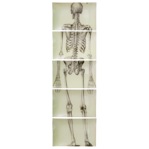 john derian Skeleton Back View (5 Pieces) Include free plate hanger Add to cart 5 Pieces 9" x 14" Rect. Plates Entire piece approximately 14" x 47" Details Handmade to order in our New York City studio Collaged paper under handb