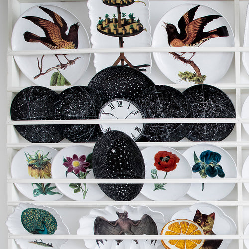 John Derian Sky Dinner Plate From April To July Add To Cart Assiette Plate Ciel D'Avril à Juillet Details 10" Diameter X 1" Deep Glazed Terracotta Made In Paris Care Dishwasher Safe On A Moderate Wash Cycle. Not Microwave Safe