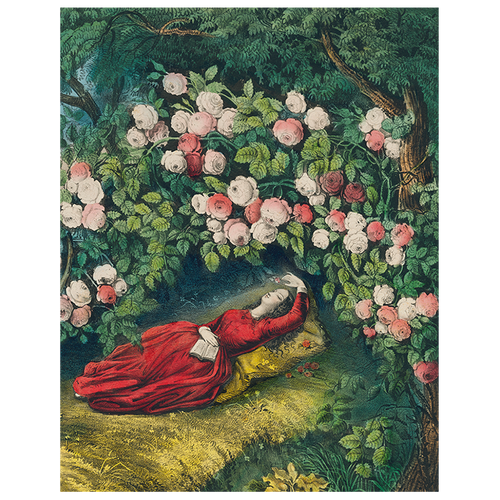 john derian Sleeping Beauty (p 100) 11" x 14" Rect. Tray