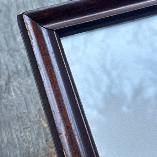 John Derian "Spider" In A Vintage Frame Ready To Ship Linocut