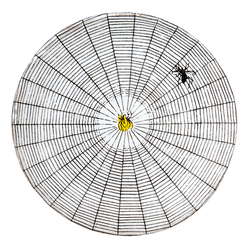 john derian Spider Web Saucer Add to cart Soucoupe Toile d'Araignée Details 4.5" Diameter x .5" Deep Glazed terracotta Made in Paris Care Dishwasher safe on a moderate wash cycle. Not microwave safe. Origin 19th century. John D